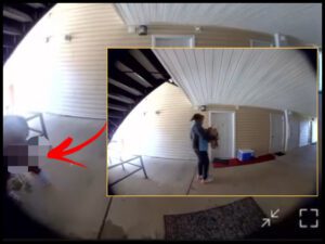 Amazon Worker in Charlotte Caught in Public Bathroom Incident