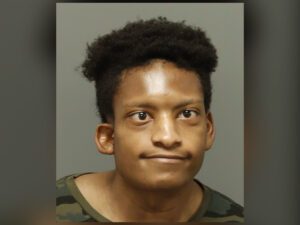 Raleigh park assault suspect