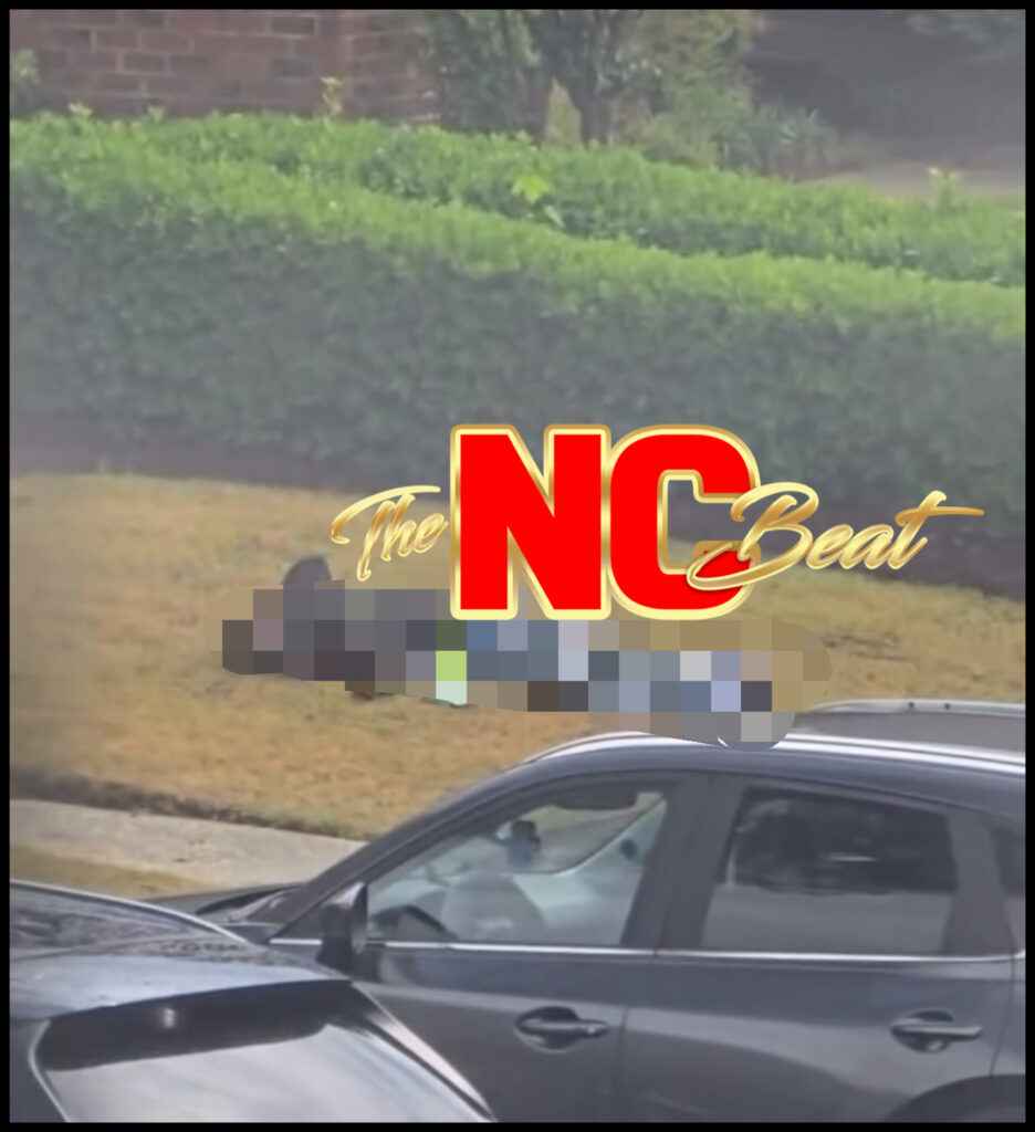 Victim lies motionless on the grass after fatal shooting at Barton's Landing Place in Fayetteville, North Carolina