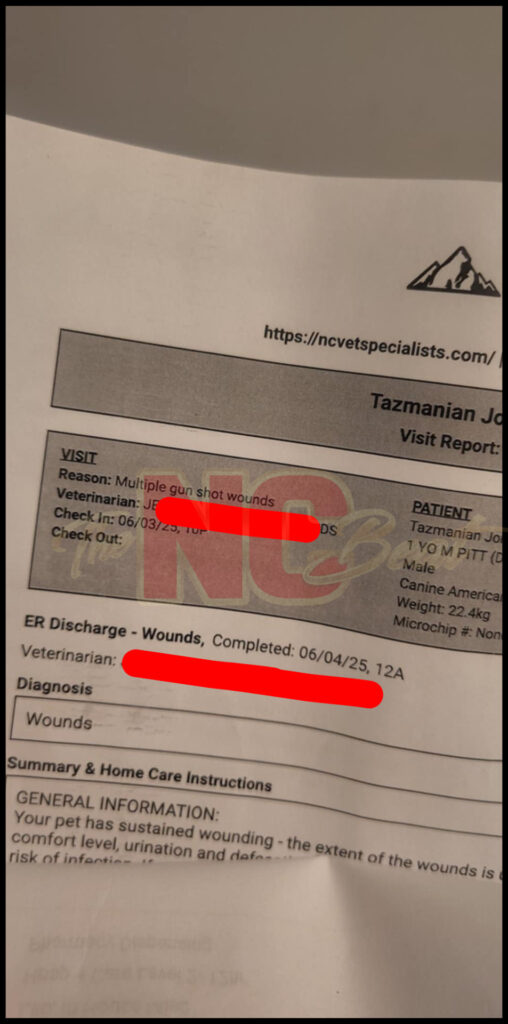 Veterinary report showing injuries Taz sustained after Hickory Police Officer shoots dog — Hickory Police Officer Shoots Dog