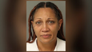 Shanna Davis North Carolina woman arrested for running over husband's leg with car in Raleigh
