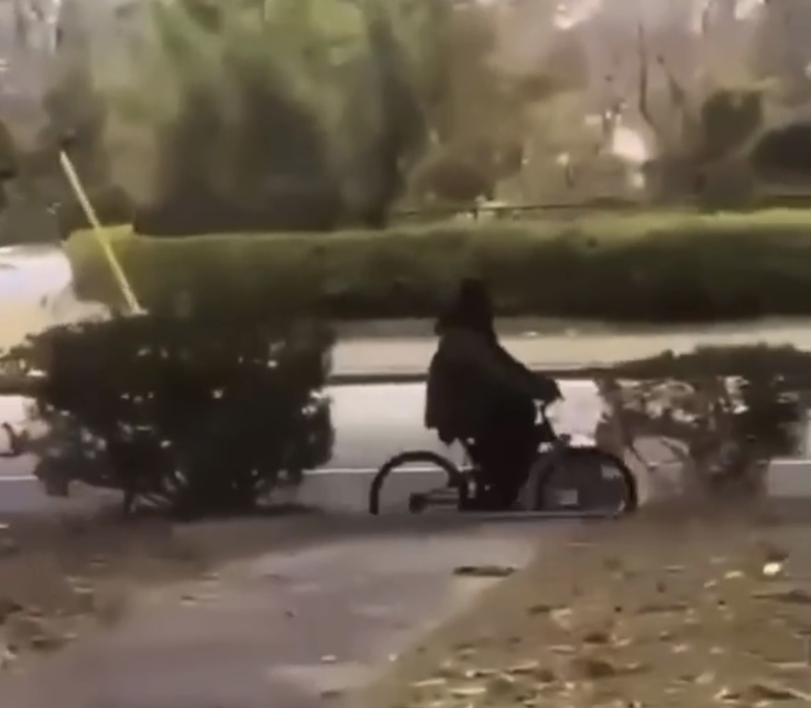 Suspect riding a bike.