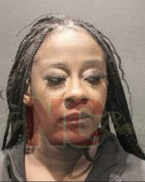 Le'Andria Johnson Arrested In Virginia For Public Intoxication
