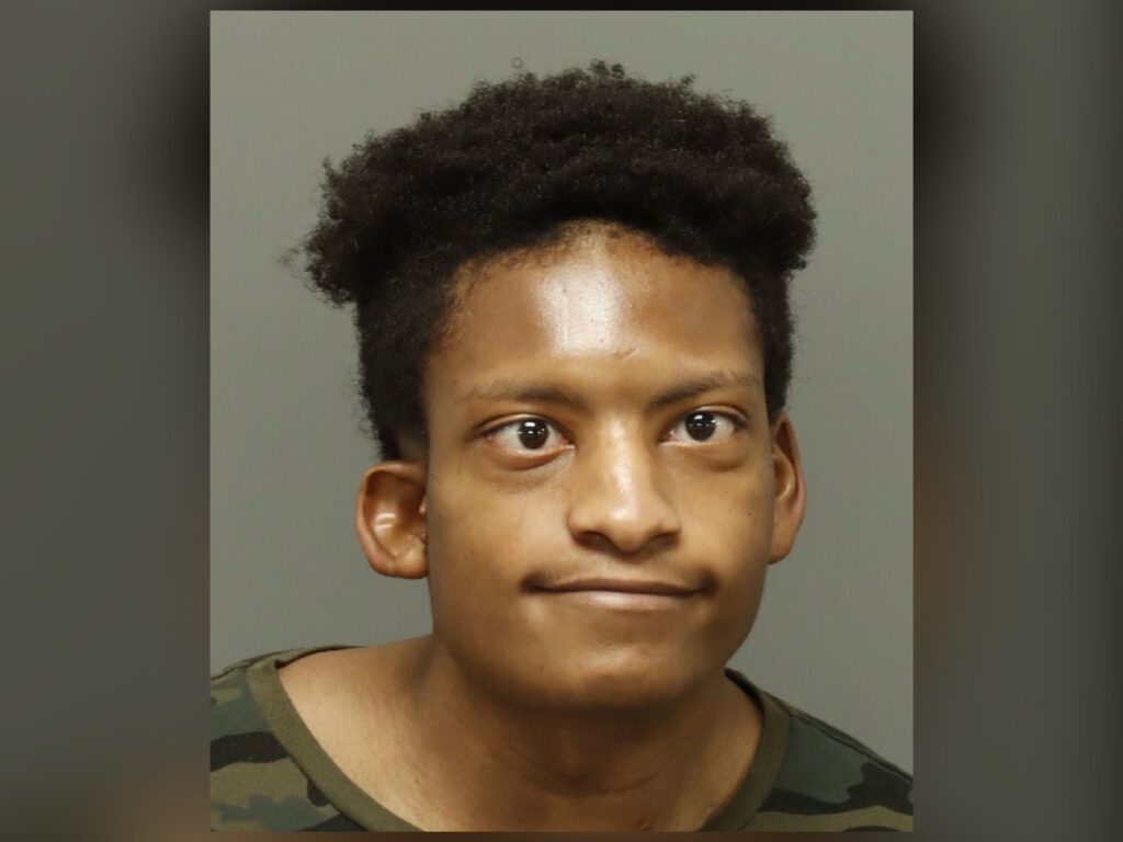 Raleigh park assault suspect