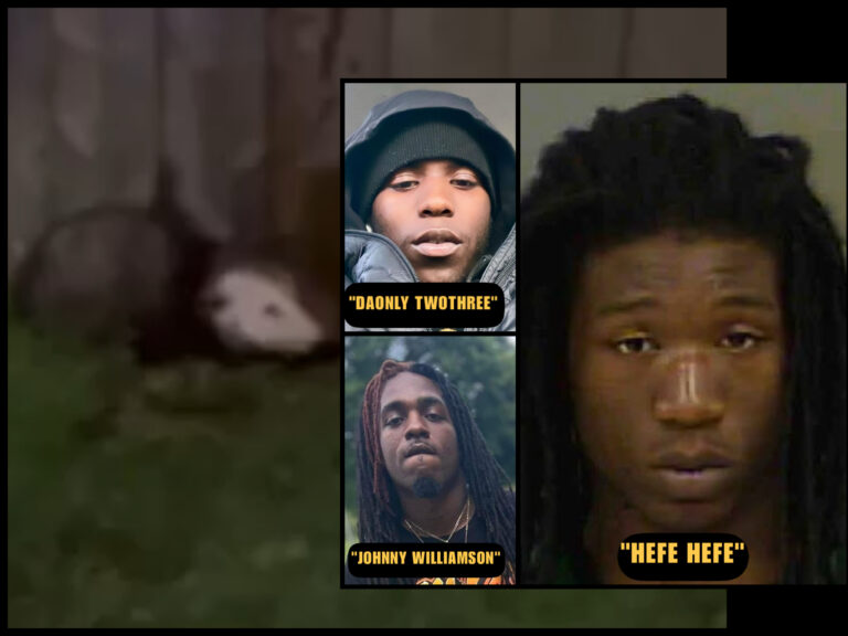Social Media Users Shocked After Video of Charlotte Men Burning Opossum Goes Viral