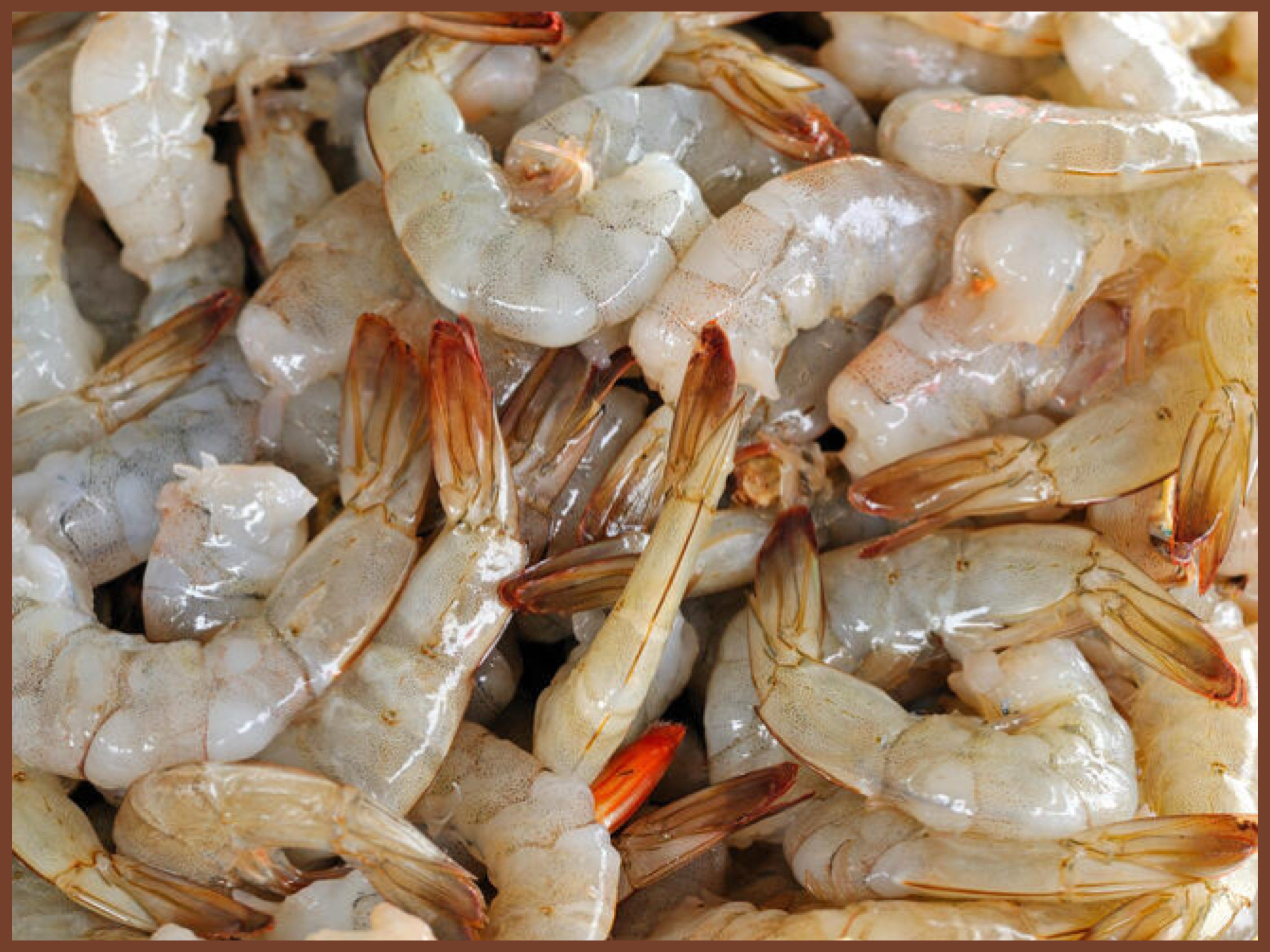 Shrimp fraud in Wilmington restaurants after investigation reveals mislabeling of imported shrimp as local catch.