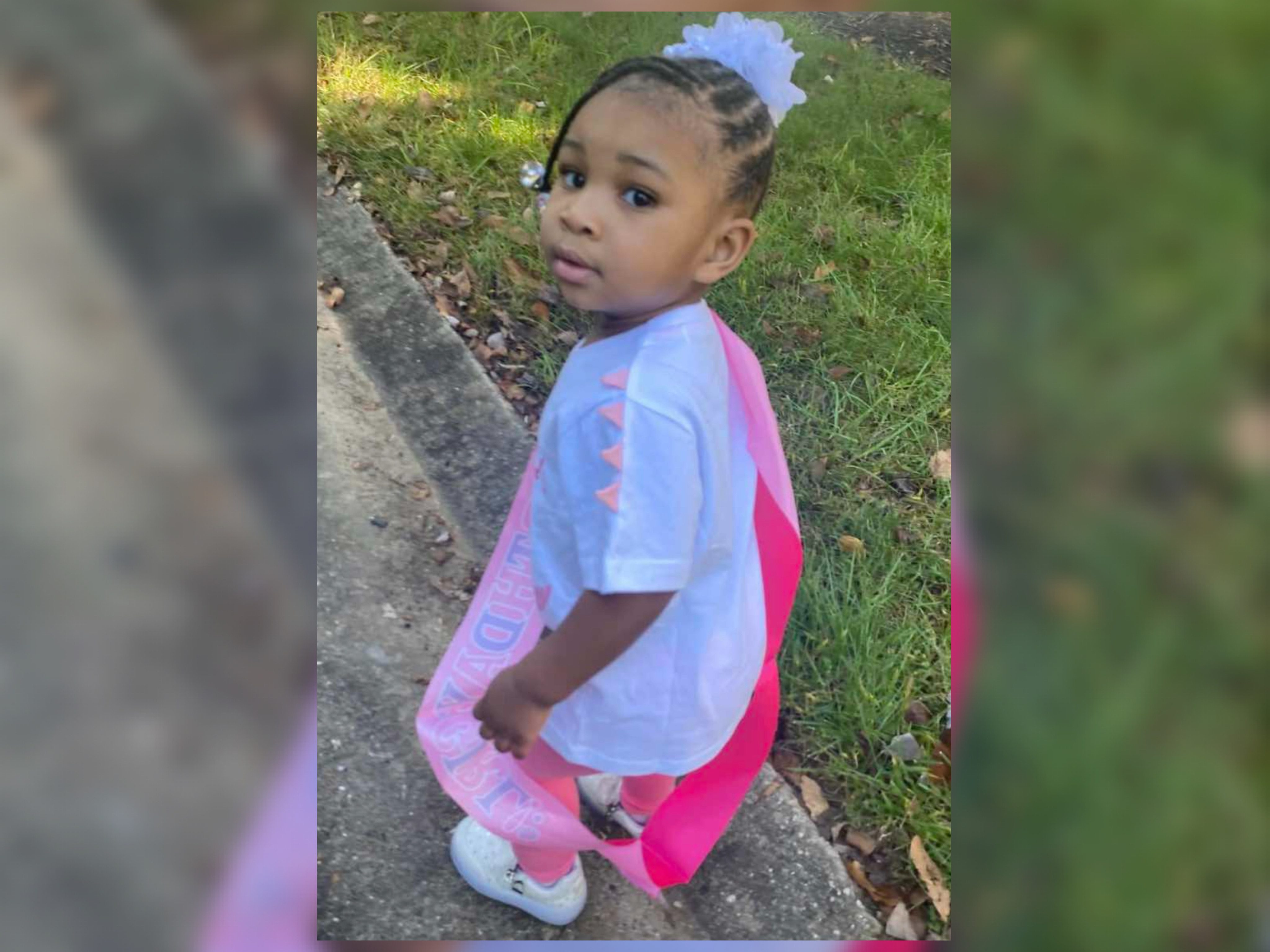 “Family searching for missing 2-year-old Calli Horner in Greensboro, NC”