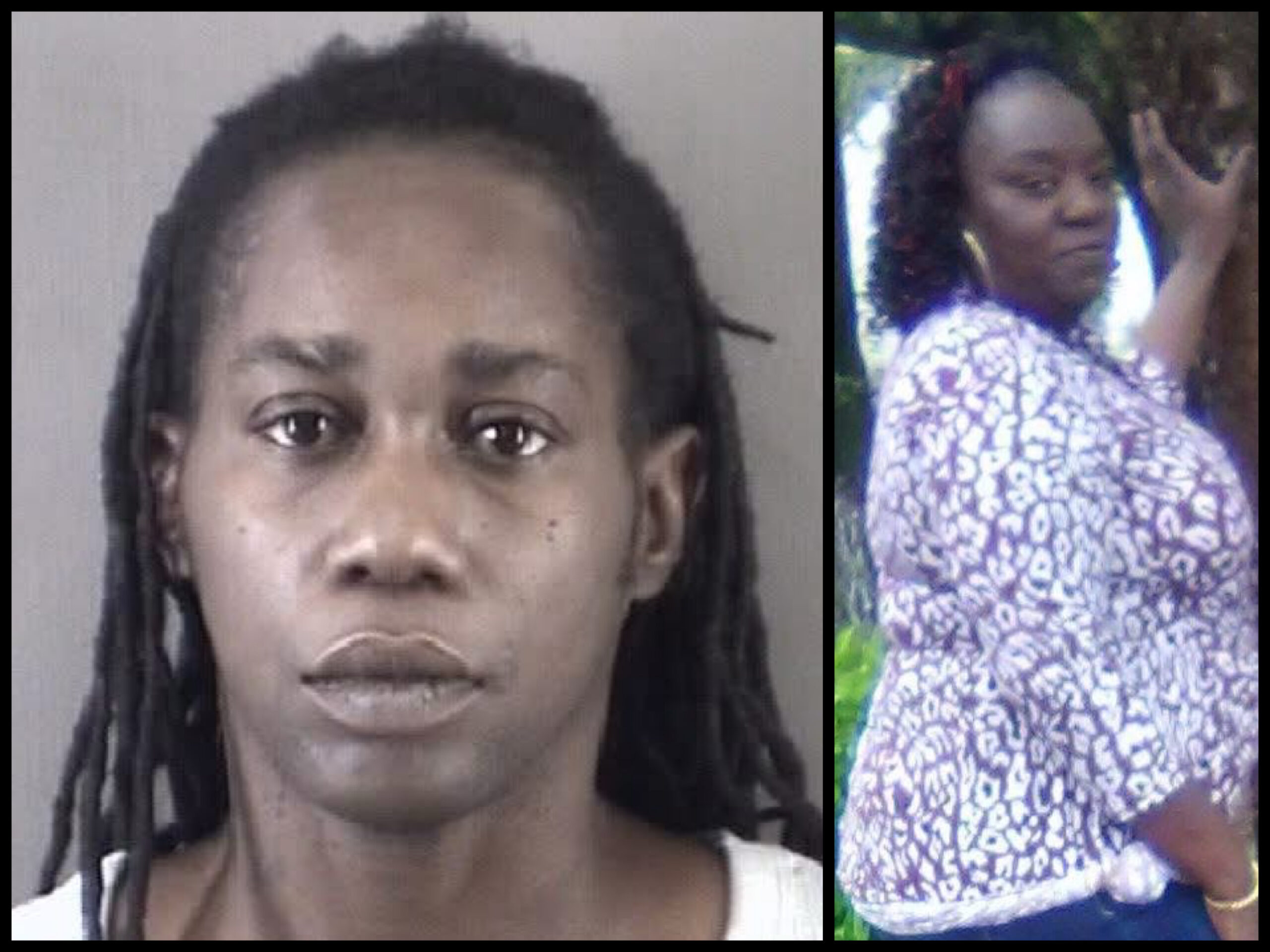 Moses Arnold charged in deadly Winston-Salem hit-and-run incident