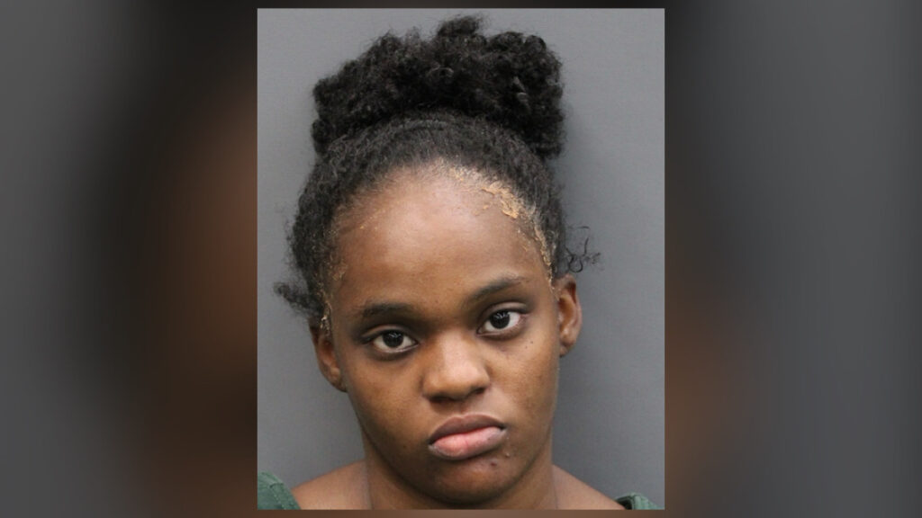 Florida mom tries to drown kids