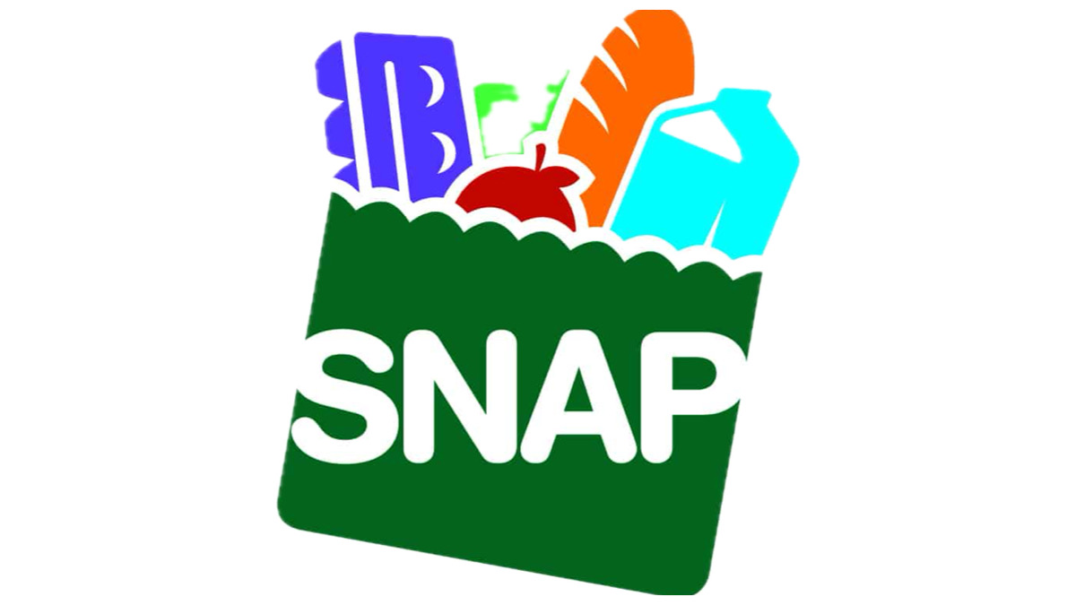 SNAP benefits grocery bag illustration food assistance