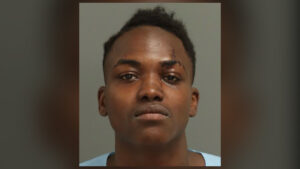 Raleigh woman stabs man campaign sign arrest photo