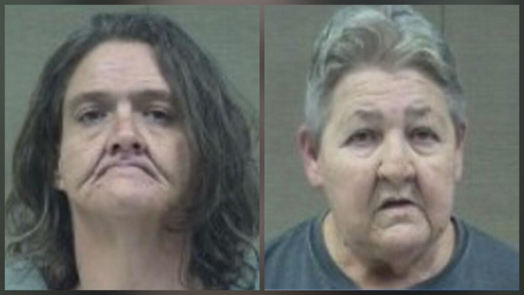 Mugshots of mother and daughter arrested in Harnett County deadly crash case