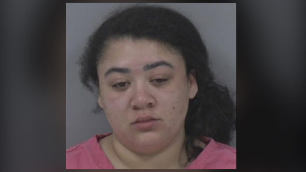 Goldsboro woman charged with DWI and child abuse after alleged 103 mph snowstorm driving