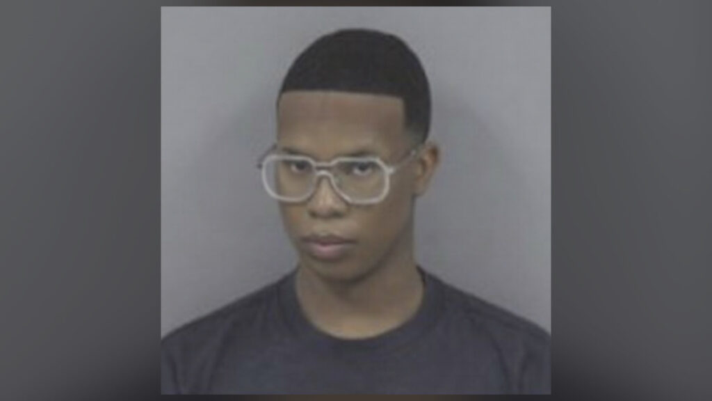 Amahd Marquie Alston, Durham man arrested in Johnston County mailbox thefts investigation