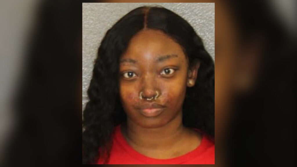 Woman Accused Of Hitting Officer With Car