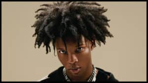 D4vd arrested in Los Angeles in connection to the murder of Celeste Rivas Hernandez after remains found in Tesla