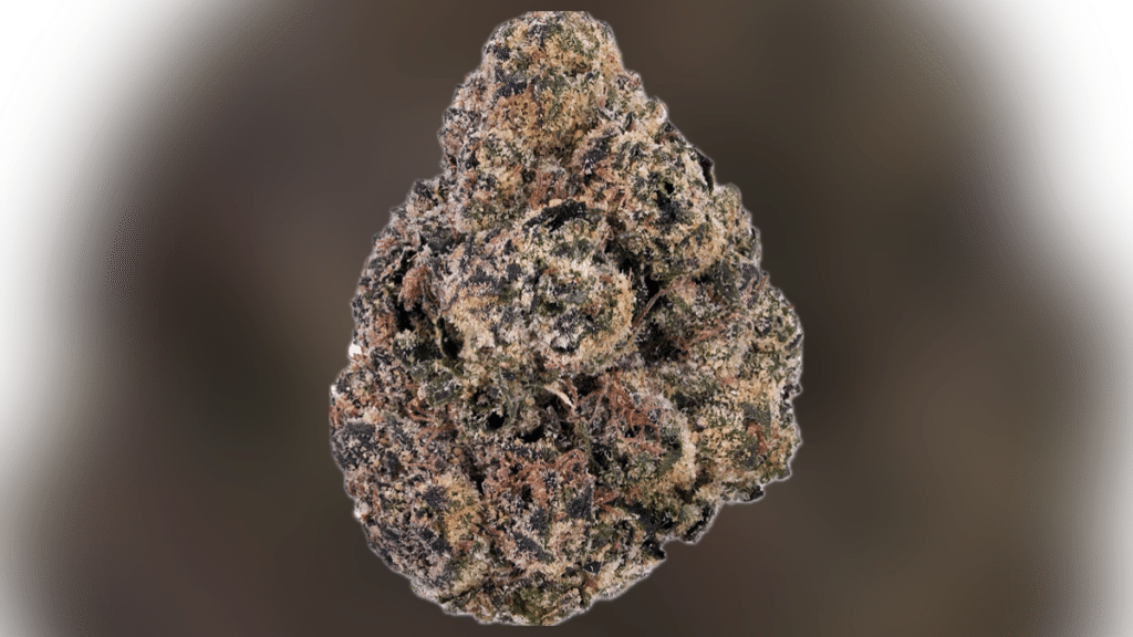 Senate Bill 1072 North Carolina cannabis legalization 2026 ballot