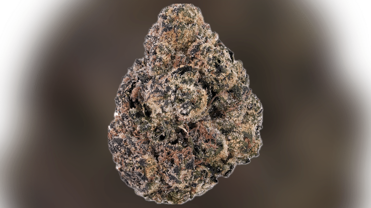 Senate Bill 1072 North Carolina cannabis legalization 2026 ballot